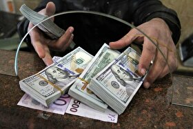 معطلی ۳ ماهه تولیدکنندگان در صف دریافت ارز