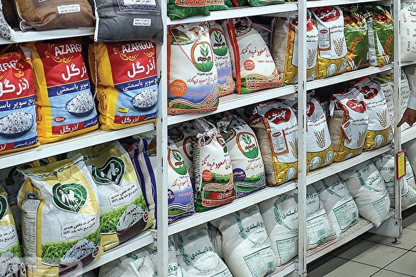 بازار برنج بدون توجه به حرف وزیر کشاورزی گران می‌فروشند