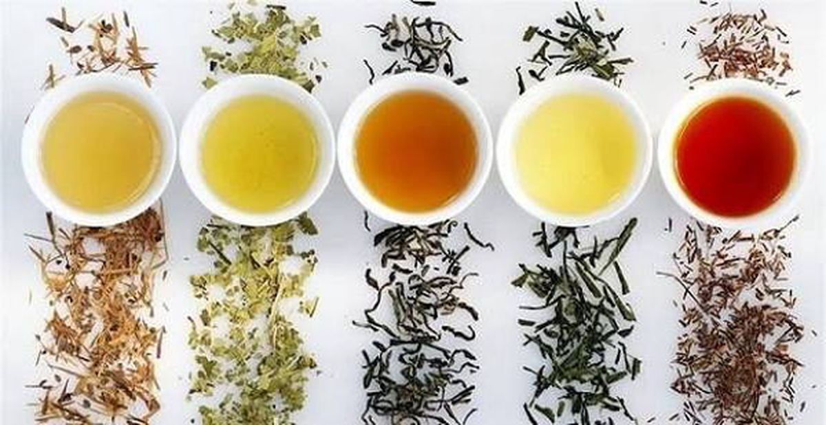 طرز تهیه دمنوش‌های ایرانی بسیار ساده | در مصرف دمنوش‌ها زیاده‌روی نکنید