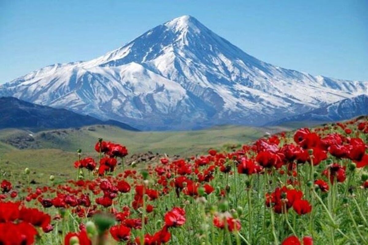 پرونده واگذاری ۸۰ هکتار از اراضی دماوند با تخفیف ۵۰ درصدی در چه مرحله‌ای است؟