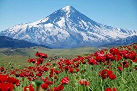 پرونده واگذاری ۸۰ هکتار از اراضی دماوند با تخفیف ۵۰ درصدی در چه مرحله‌ای است؟