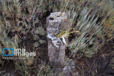 گزارش تصویری | قبرستان چوبی «باغلق»