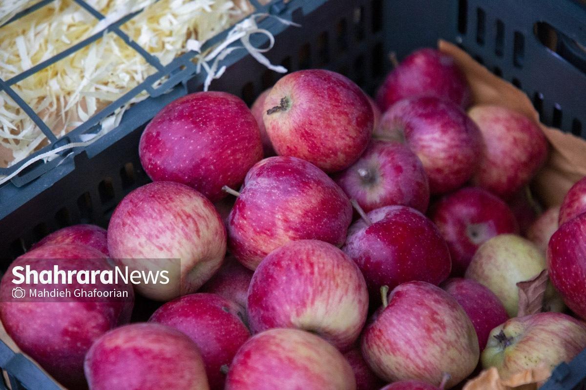 اختلاف بیش از ۳۰ هزار تومانی قیمت سیب در تره‌بار و میوه‌فروشی‌های سطح شهر مشهد (۲۴ شهریور ۱۴۰۴) + جدول قیمت