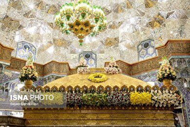 گزارش تصویری | گل آرایی ضریح حضرت معصومه (س) به مناسبت سالروز ورود ایشان به قم