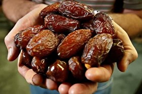 ایران سومین تولیدکننده بزرگ خرما در جهان است