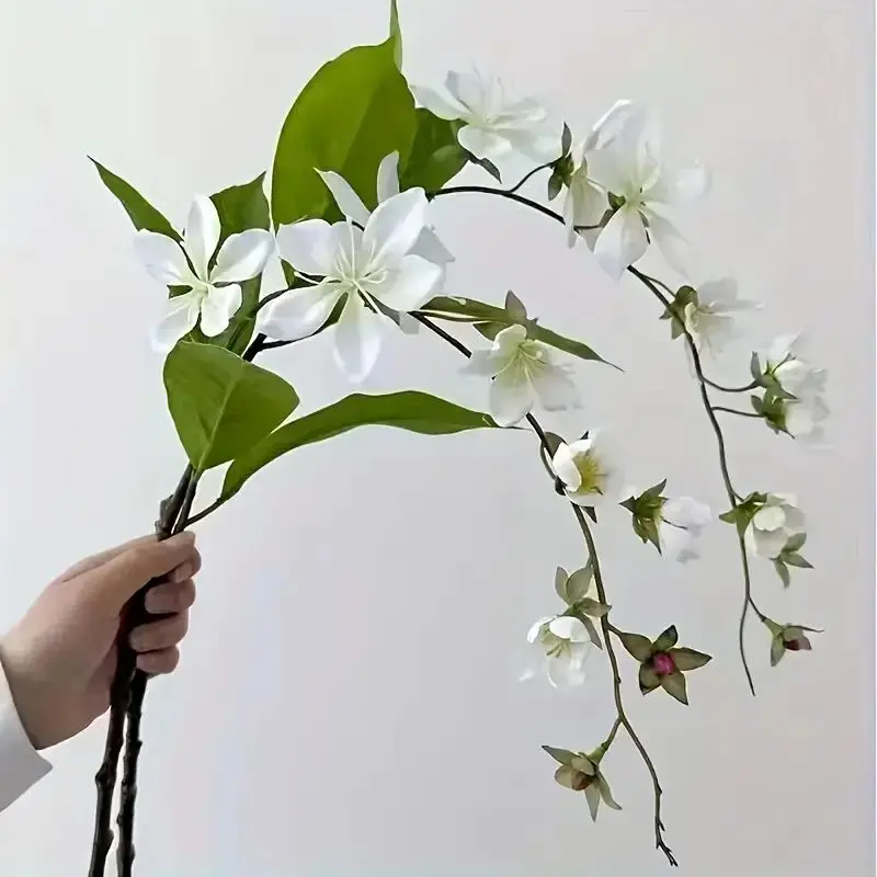 گل یاس