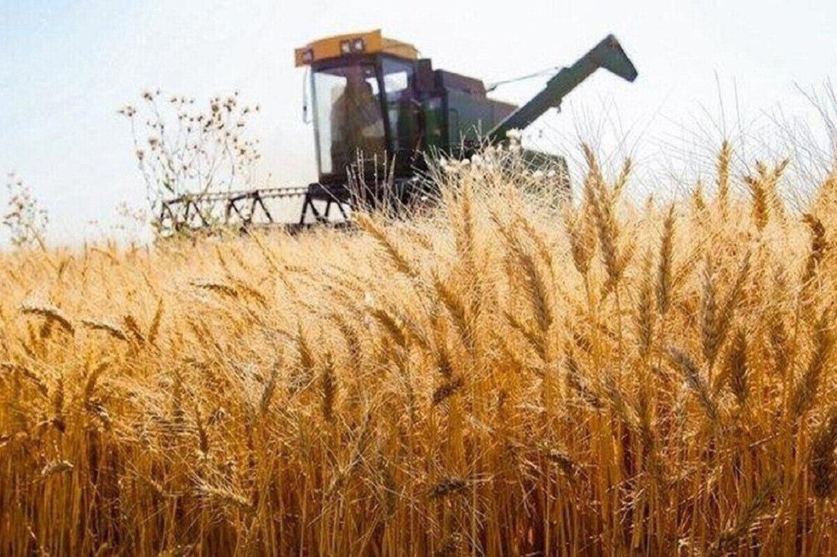 اختصاص ۴۲۵ میلیارد تومان اعتبار برای توسعه مکانیزاسیون کشاورزی خراسان رضوی