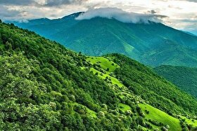 چرا جنگل‌های ارسباران تا کنون ثبت جهانی نشده‌اند؟