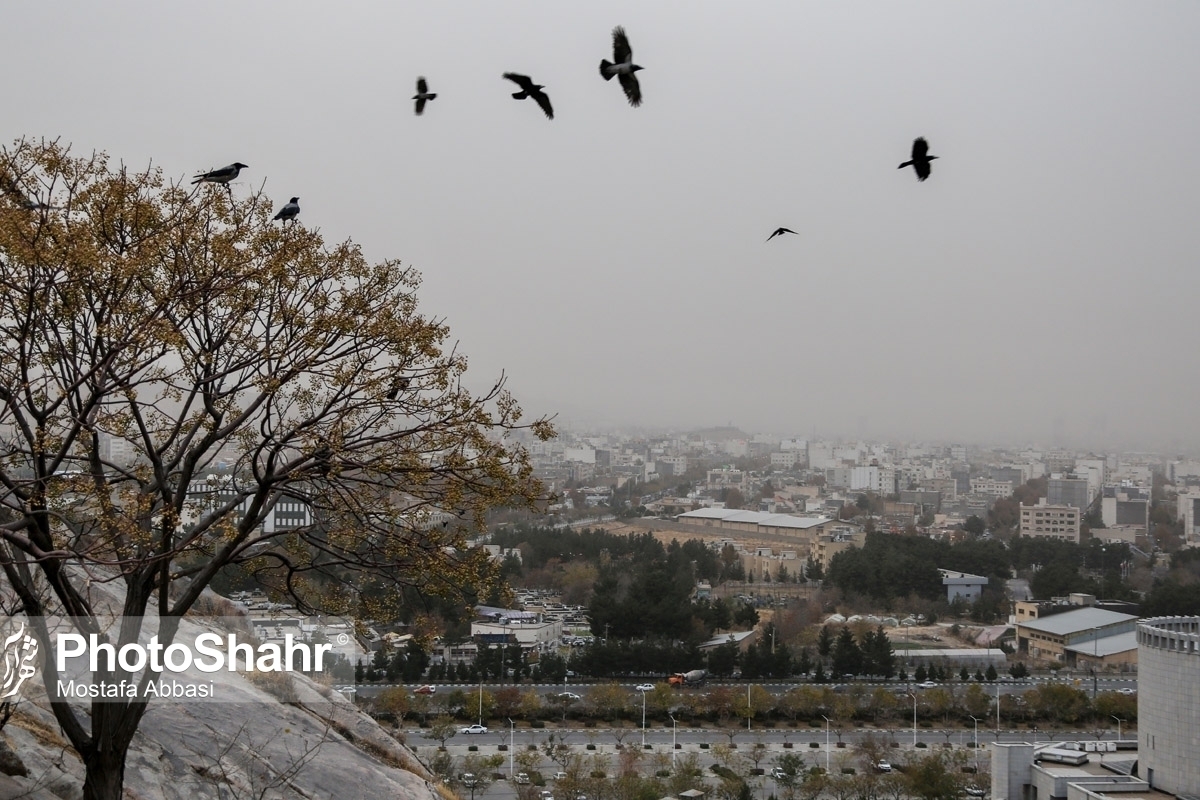 صدور هشدار سطح نارنجی هواشناسی در خراسان رضوی در پی پیش‌بینی افزایش گردوغبار (۲۹ شهریور ۱۴۰۴)