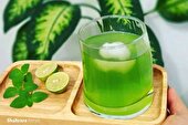 دانستنی‌های کودکانه | شربت موهیتو و تخم‌شربتی