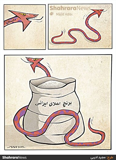 کارتون | دلال‌ها عامل گرانی برنج