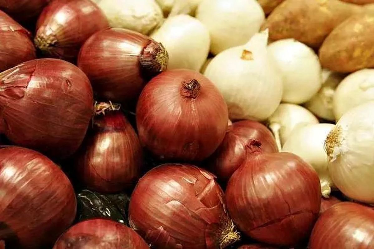 قیمت امروز میوه و تره‌بار در مشهد (۳۰ شهریور ۱۴۰۴) | پیاز چقدر شد؟