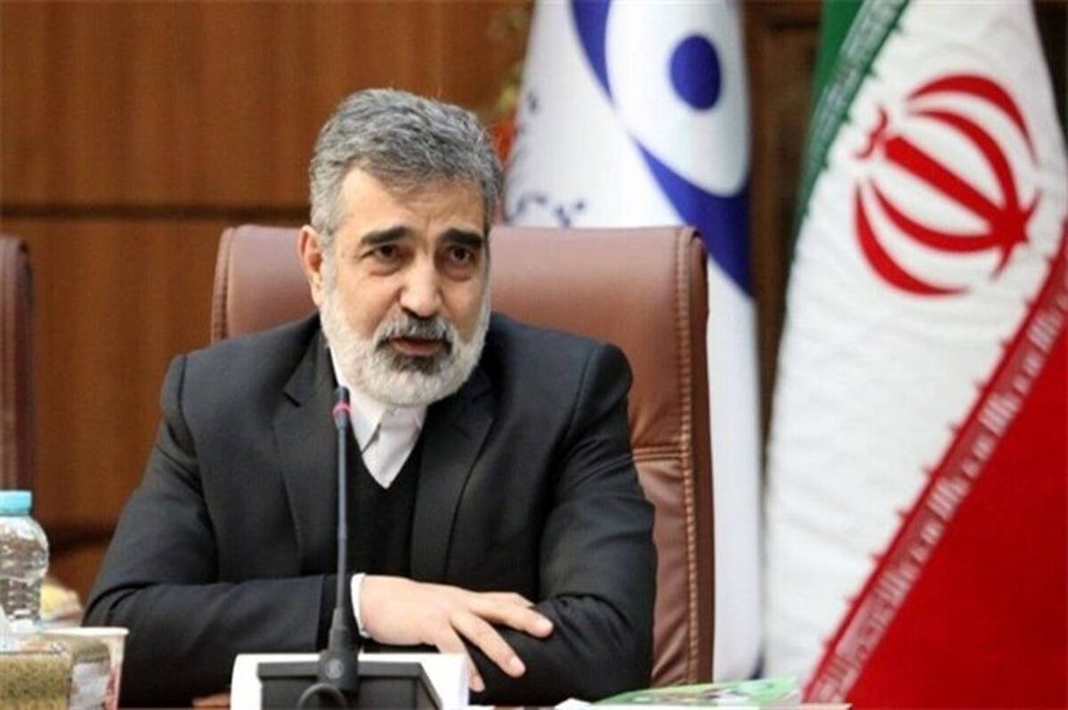 توضیحات سخنگوی سازمان انرژی اتمی درباره فعالیت‌های بازرسان آژانس در ایران