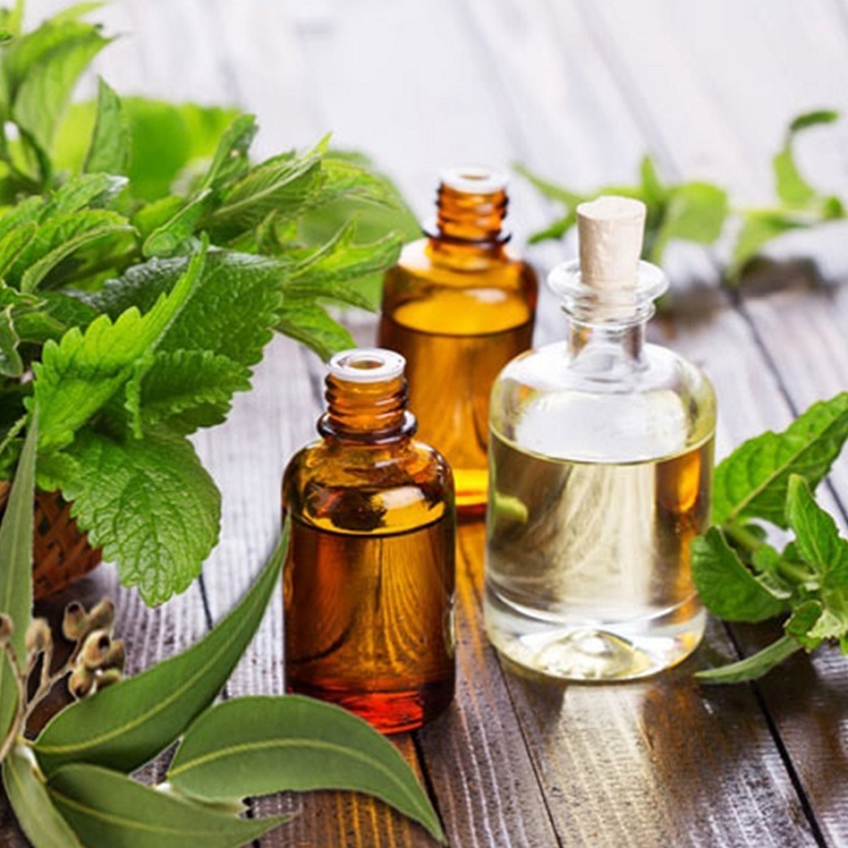 عرق یونجه و شربت سه‌شیره، منبع تأمین آهن نیستند