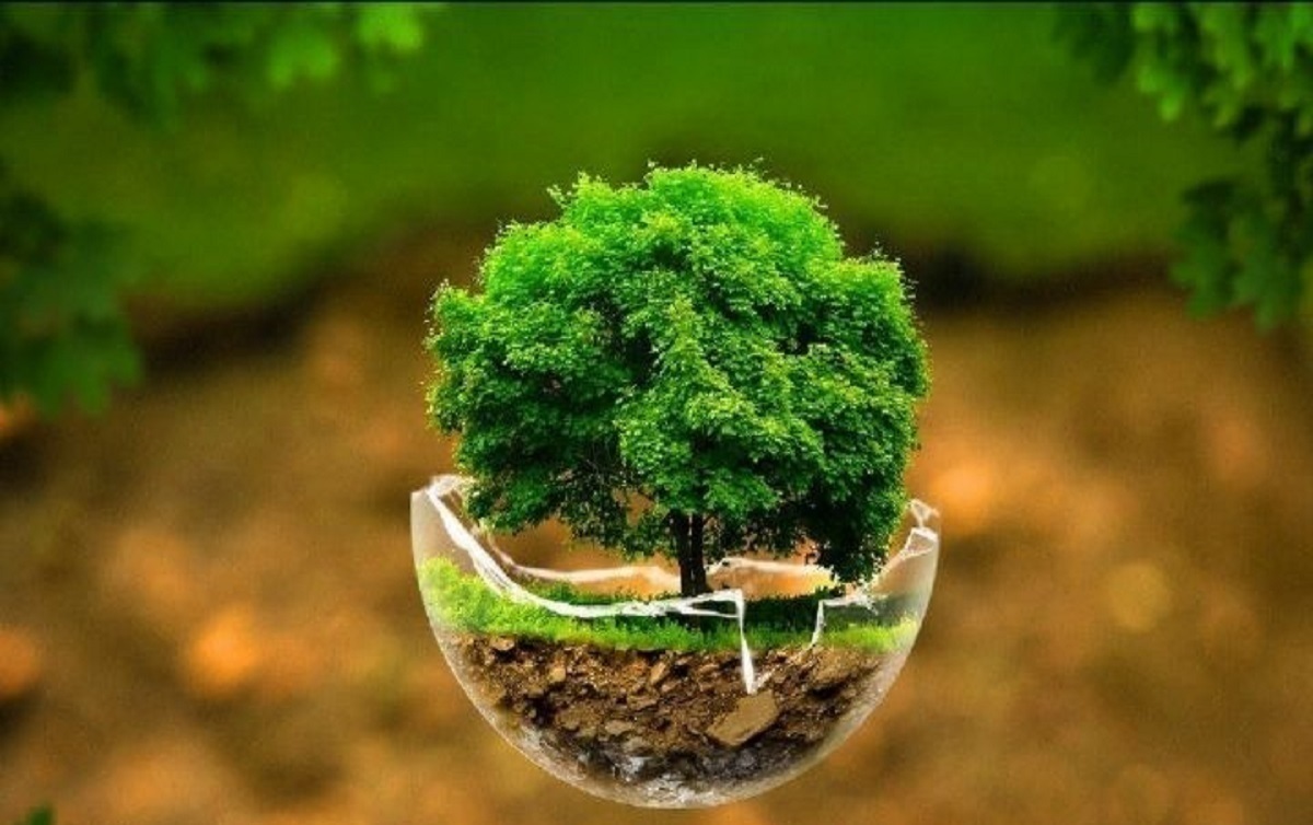 طرح همیاران طبیعت خراسان رضوی در سراسر کشور اجرا می‌شود + جزئیات و اهداف طرح