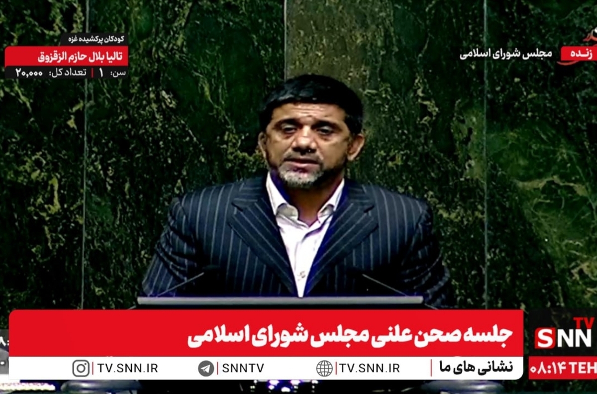 دبیر: ۶۷ درصد از مدال‌های کاروان‌های ورزشی ایران در تاریخ المپیک مربوط به کشتی است | کشتی از برجام ارزشمندتر است