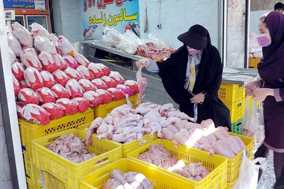 قیمت گوشت و مرغ در مشهد امروز (۱۳ مهر ۱۴۰۴) اعلام شد + جدول