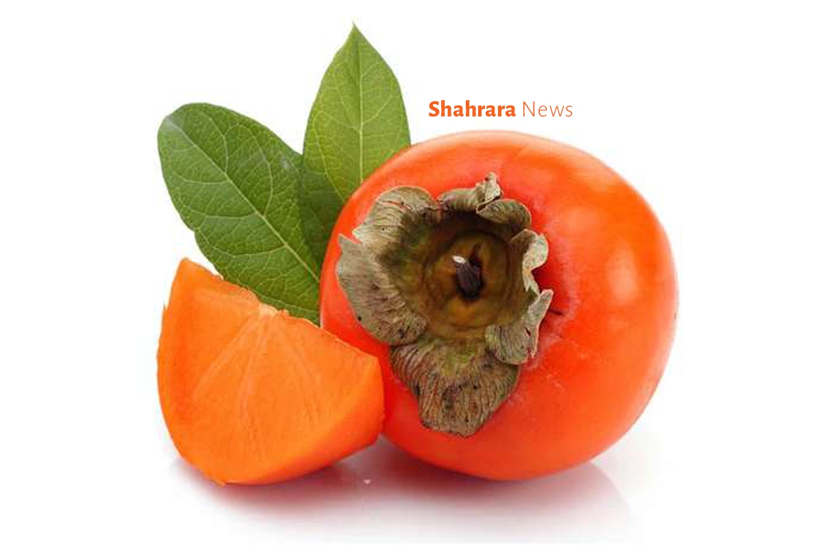 دانستنی‌های کودکانه | سر سفره‌ی پاییز خانم