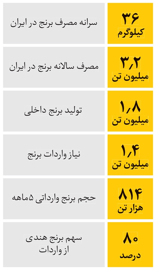 کمیابی و گرانی برنج، دست‌پخت متولیانی است که نظارت بر بازار را رها کرده‌اند | غیب‌شدن برنج به دست محتکران