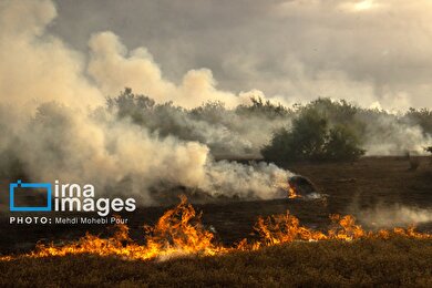 گزارش تصویری | آتش سوزی در «تالاب میانکاله»