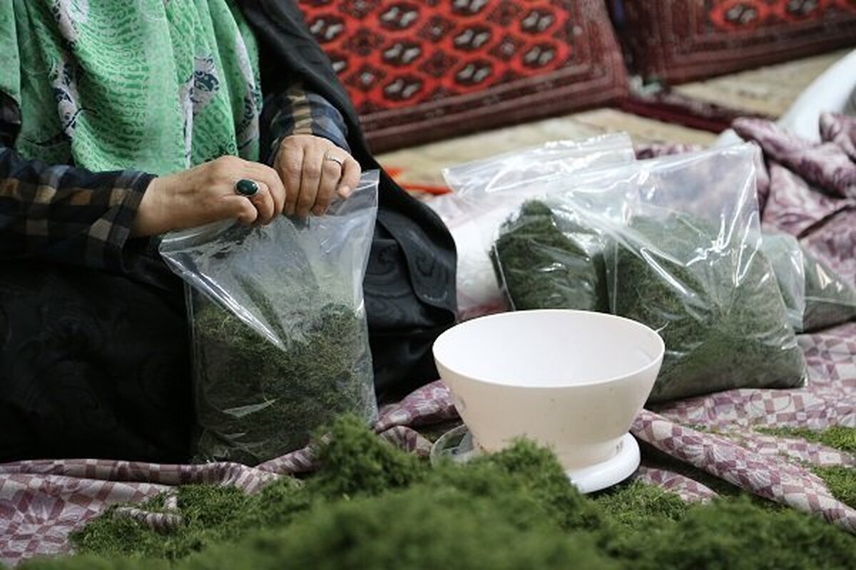مشاغل خانگی، فرصتی طلایی برای توانمندسازی زنان و جوانان