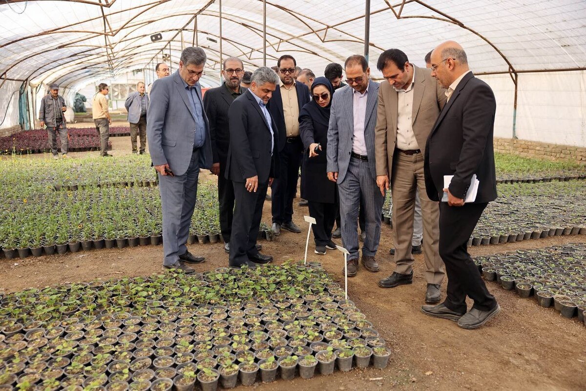 کاهش وابستگی به خرید گل و گیاه در شهرداری مشهد با توسعه تولیدات داخلی