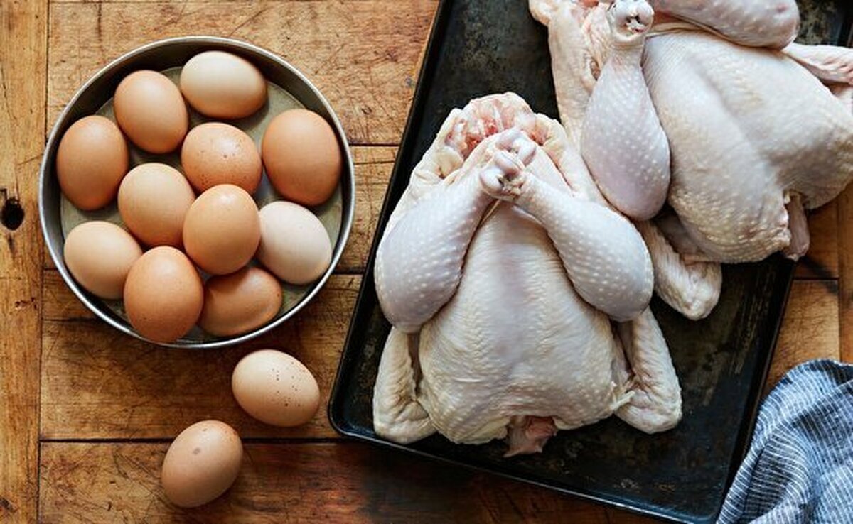 وضعیت تأمین مرغ و تخم مرغ در خراسان رضوی مطلوب است
