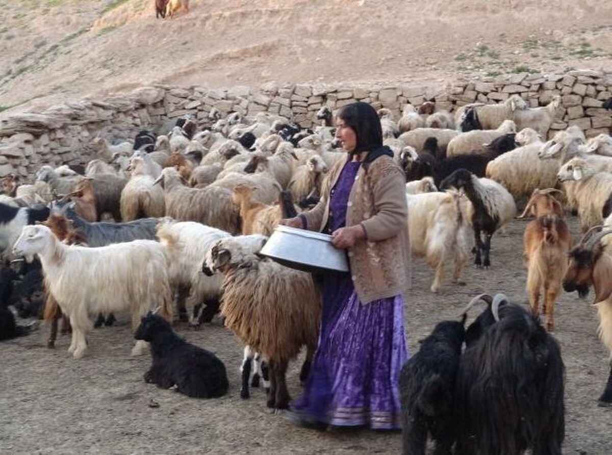 اشتغال زایی جهاد کشاورزی برای ۵۰ هزار زن در کشور