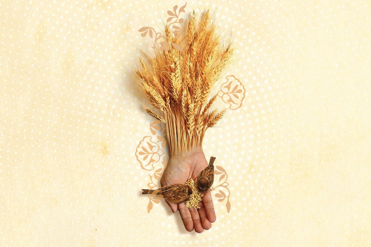 لقمه جسم و نور جان | بررسی موضوع نان حلال از منظر دین اسلام