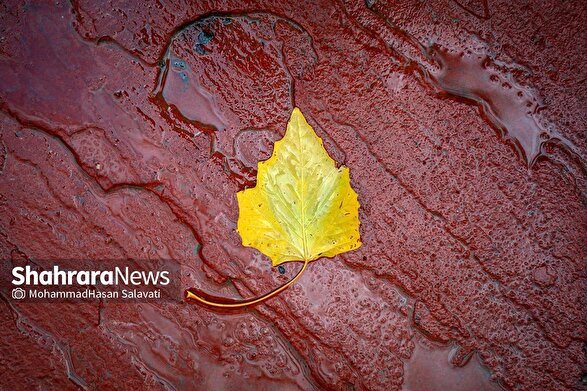 پیش‌بینی هواشناسی مشهد و خراسان رضوی امروز (چهارشنبه، ۳۰ مهر ۱۴۰۴) | احتمال بارش‌های رگباری پراکنده باران در برخی نقاط استان