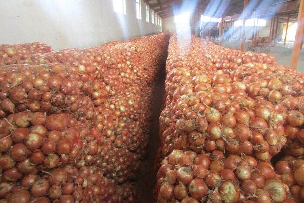 کشف انبار ۱۱۰۰ تُنی پیاز احتکارشده در مشهد (یکم آبان ۱۴۰۴)