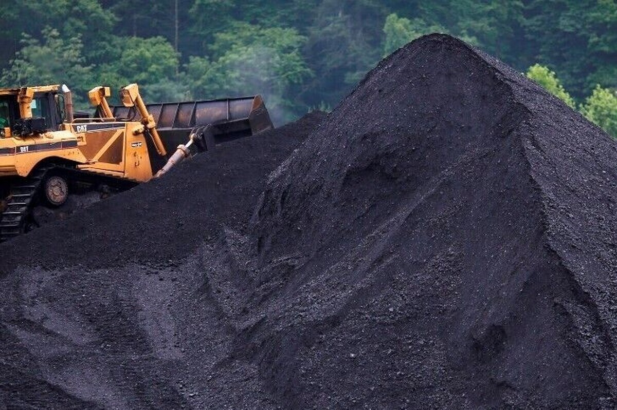 دست مافیای اقتصادی در پرونده واردات زغال‌سنگ