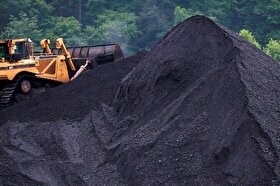 دست مافیای اقتصادی در پرونده واردات زغال‌سنگ