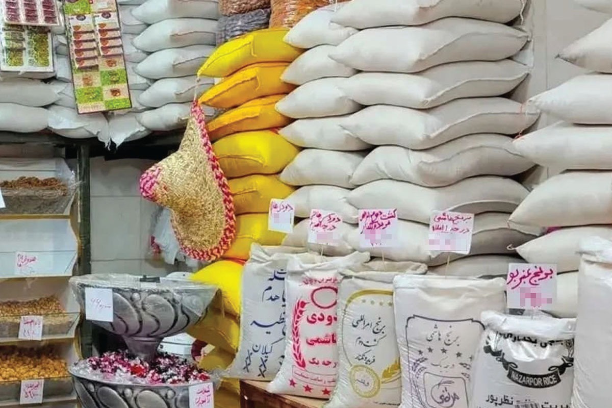 بازار بی‌سامان برنج | نمایندگان مجلس: وزارت جهاد کشاورزی بازار برنج خارجی را  رها کرده است