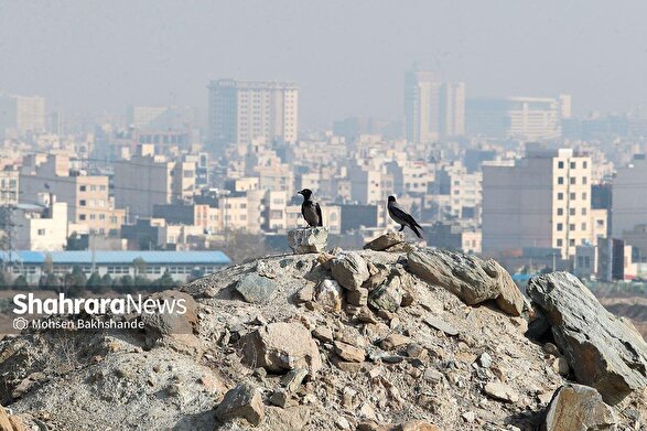 هشدار کارگروه مدیریت شرایط اضطرار گرد و غبار برای شهروندان مشهدی در روز دوشنبه (۱۲ آبان ۱۴۰۴) | ورزش در مدارس و فضای باز ممنوع شد