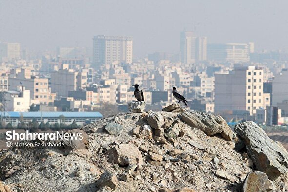 هشدار کارگروه مدیریت شرایط اضطرار گرد و غبار برای شهروندان مشهدی در روز دوشنبه (۱۲ آبان ۱۴۰۴) | ورزش در مدارس و فضای باز ممنوع شد