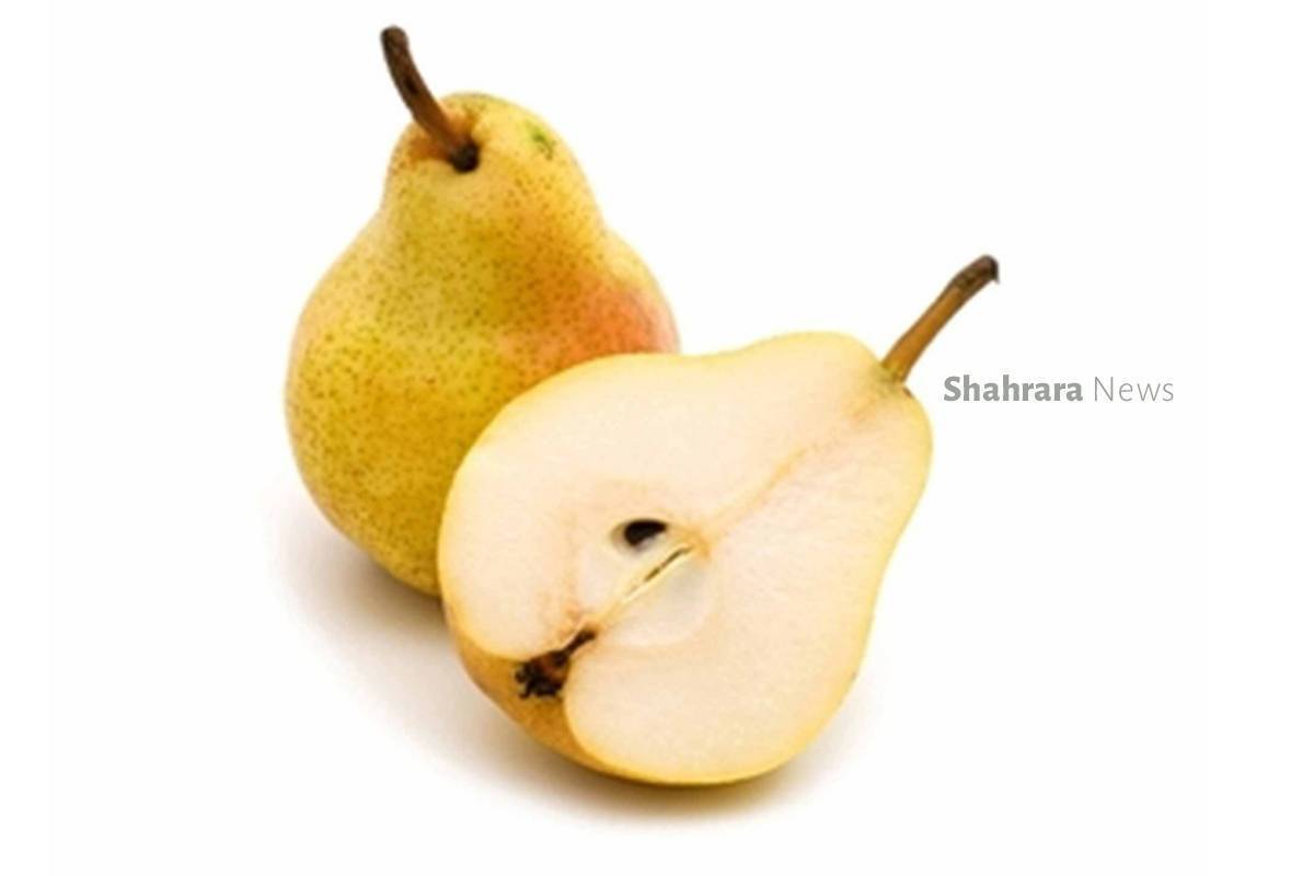 دانستنی‌های کودکانه درباره خوراکی‌ها | بلال (ذرت) و گلابی