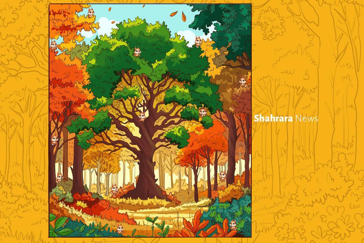 سرگرمی با بگرد و پیدا کن | سنجاب‌ها را پیدا کن