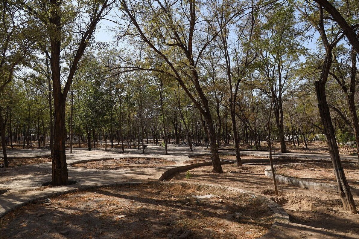 بوستان بانوان «صبا» در آستانه بهره‌برداری در آذرماه ۱۴۰۴ | تکمیل پروژه‌های بوستان‌های بانوان در اولویت مدیریت شهری مشهد است