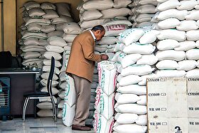 بازدید میدانی از بازار برنج مشهد | برنج در مسیر طلا؛ هر لحظه یک قیمت