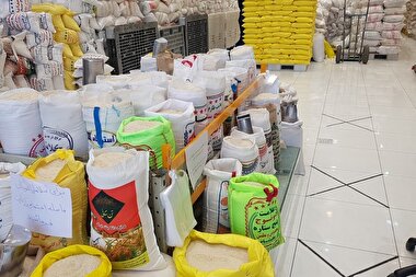 اینفوگرافی| قیمت برنج در بازارهای مشهد