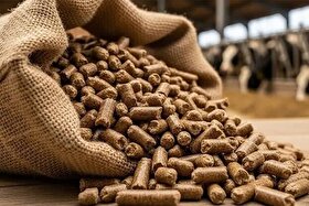 تولید ۶۸۱ هزار تن کنسانتره دامی در خراسان رضوی از ابتدای سال تاکنون (۱۸ آبان ۱۴۰۴)