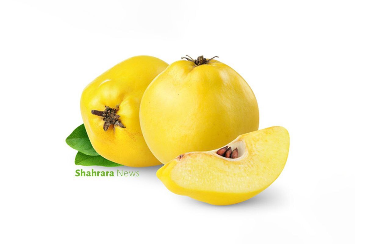 دانستنیهایی برای کودکان | دو میوه کمتر شناخته شده دانستنیهایی برای کودکان | دو میوه کمتر شناخته شده