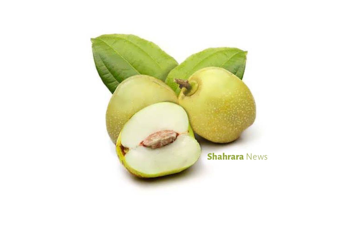 دانستنیهایی برای کودکان | دو میوه کمتر شناخته شده دانستنیهایی برای کودکان | دو میوه کمتر شناخته شده