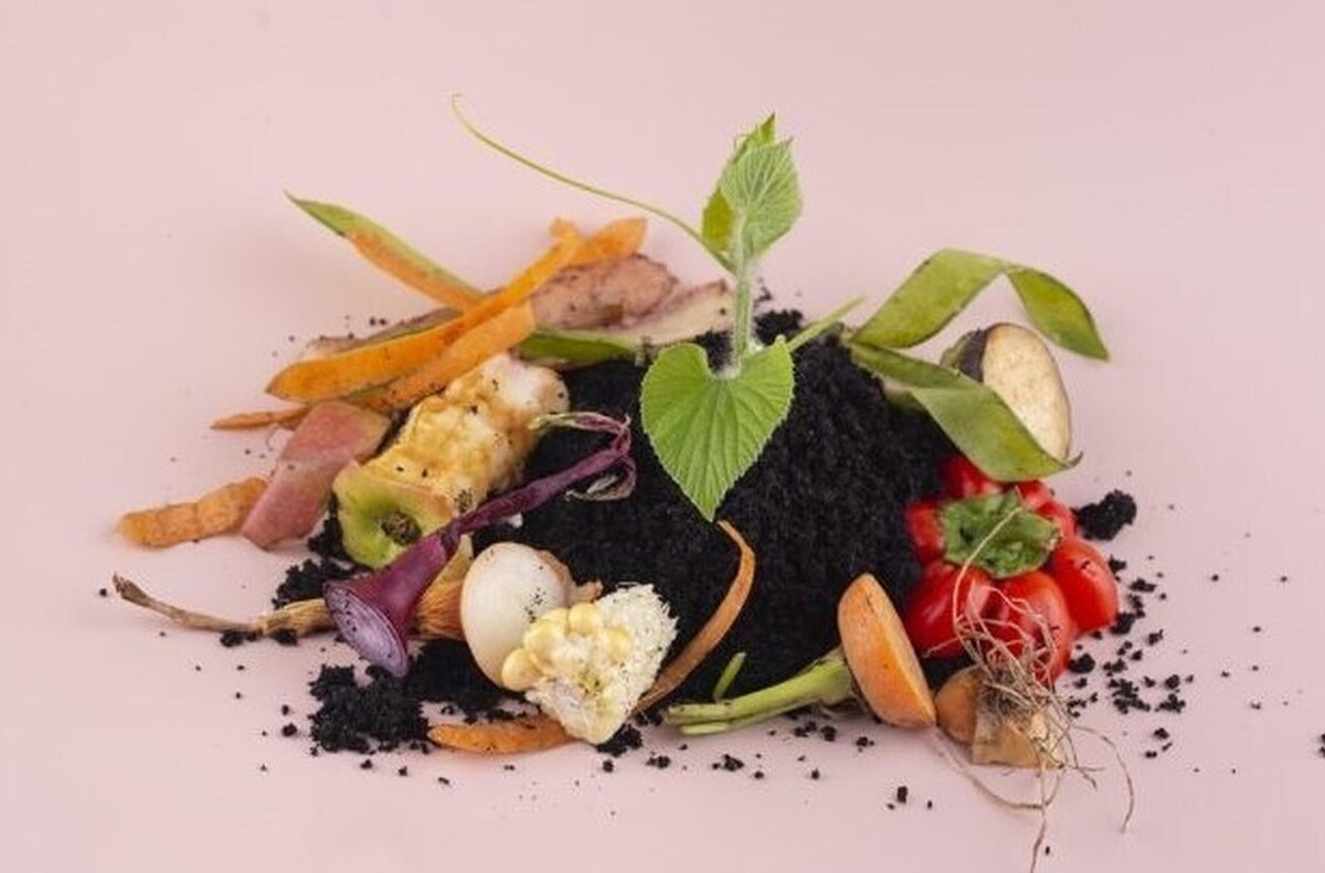 تولید کمپوست خانگی، گامی ساده برای زباله صفر