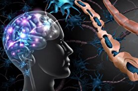 ابتلای زنان به بیماری‌ ام‌اس ۲ برابر مردان