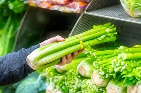 قیمت امروز میوه و تره‌بار در مشهد (۲۰ آبان ۱۴۰۴) | کرفس کیلویی ۳۰ هزار تومان