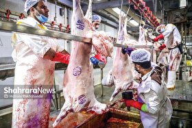 امنیت غذایی کشور با تنوع بخشی به مبادی واردات گوشت قرمز | راه طولانی گوشت تا سفره مردم