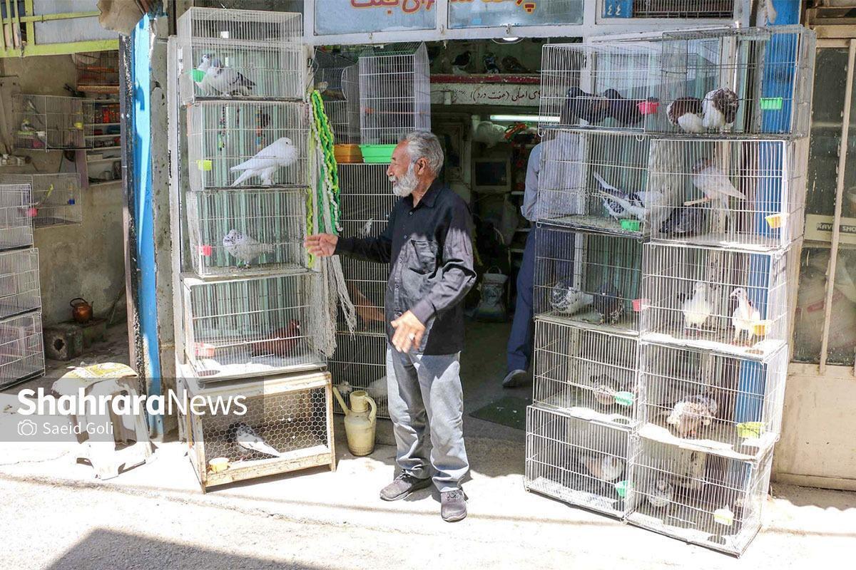 کریمدادی: بازار پرنده‌فروشان در مسیر پیاده‌روی زائران حرم امام‌رضا(ع) موجب بی‌نظمی است