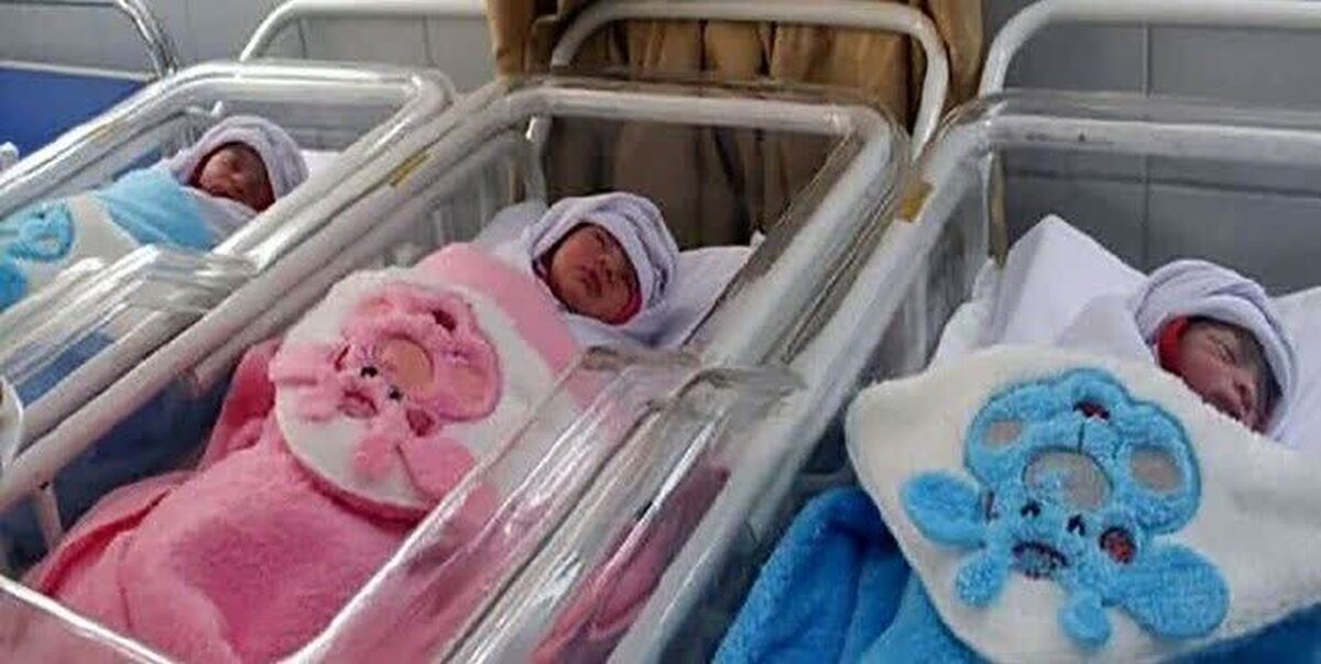 تولد ۳ قلوها در سبزوار